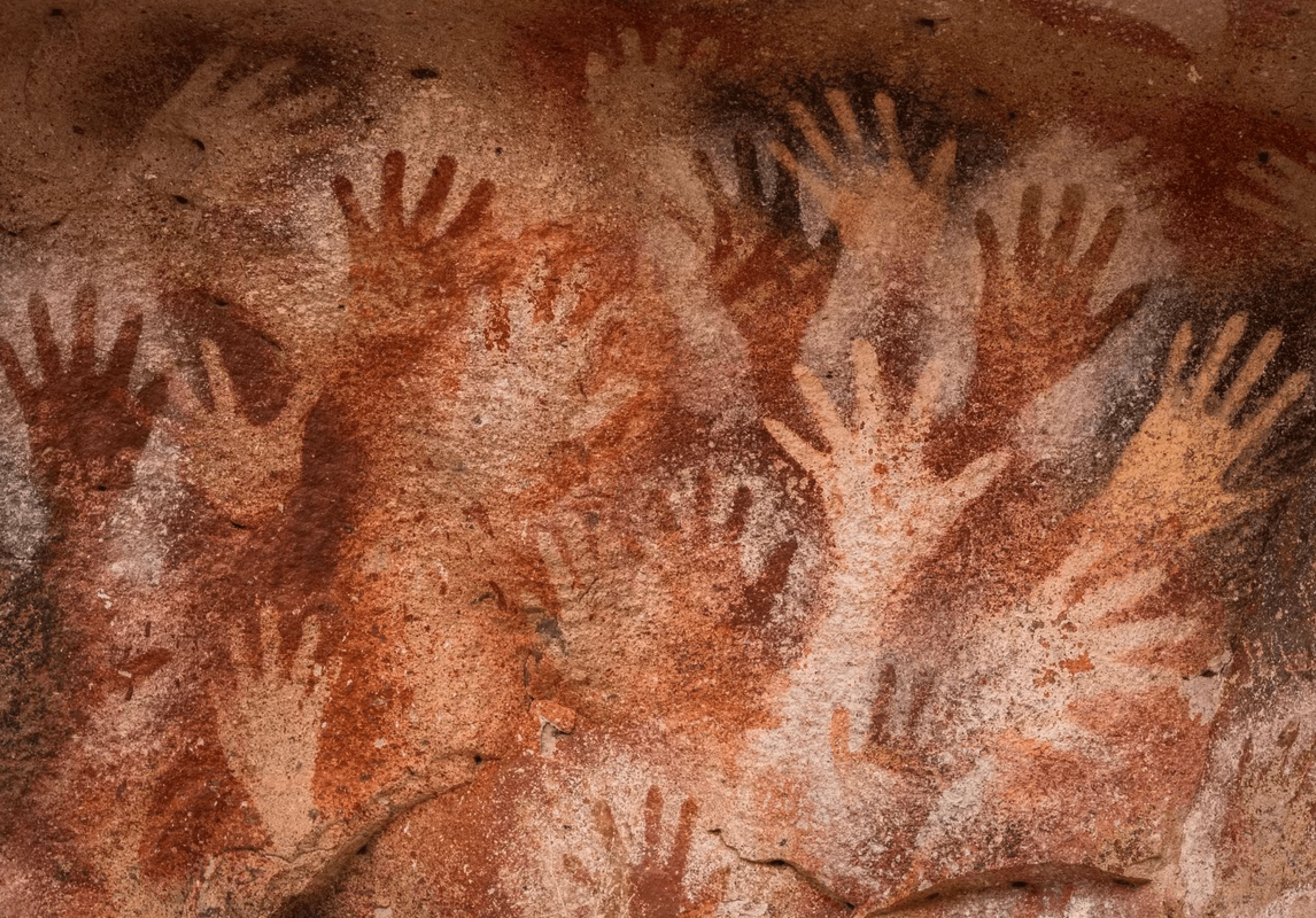 Cave paintings backdrop